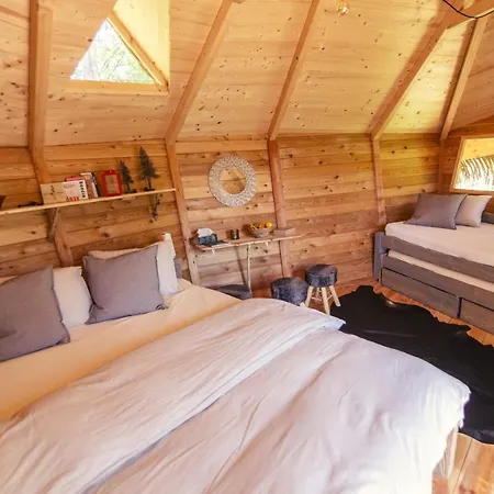 Treehouse Stvoridla