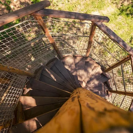 Treehouse Stvoridla *