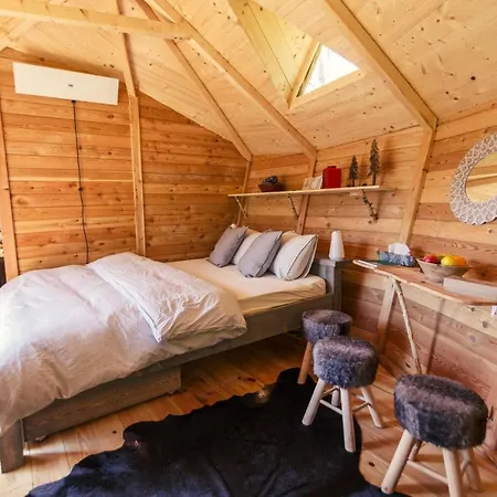 Treehouse Stvoridla *
