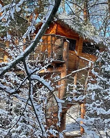 Treehouse Stvoridla *