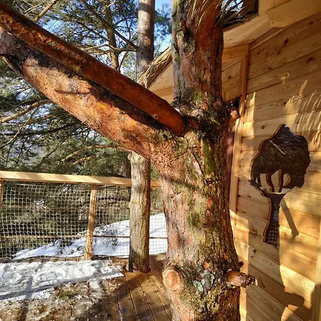 Luxussátor Treehouse Stvoridla *